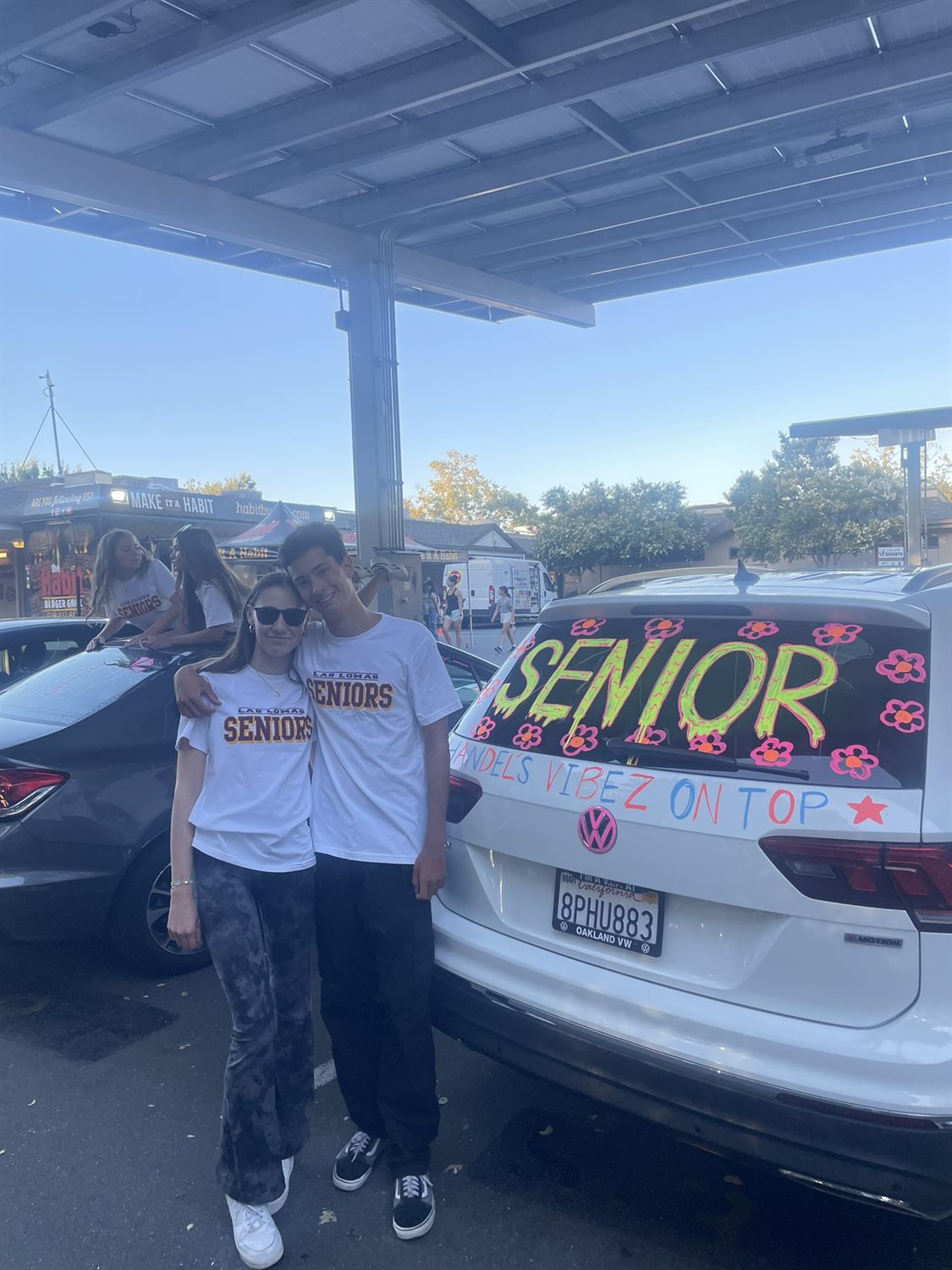 Car Painting